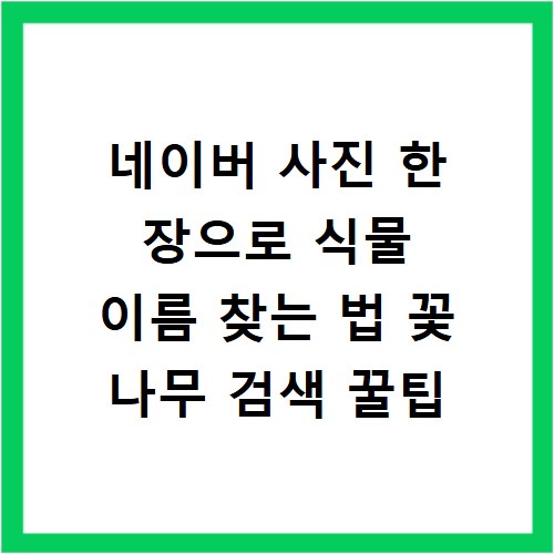 네이버 사진 한 장으로 식물 이름 찾는 법 꽃 나무 검색 꿀팁