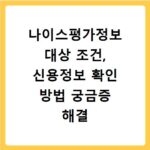 나이스평가정보 대상 조건, 신용정보 확인 방법 궁금증 해결