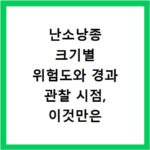 난소낭종 크기별 위험도와 경과 관찰 시점, 이것만은 꼭 알아두세요
