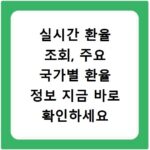 실시간 환율 조회, 주요 국가별 환율 정보 지금 바로 확인하세요