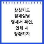 삼성카드 결제일별 명세서 확인, 연체 시 당황하지 않는 방법