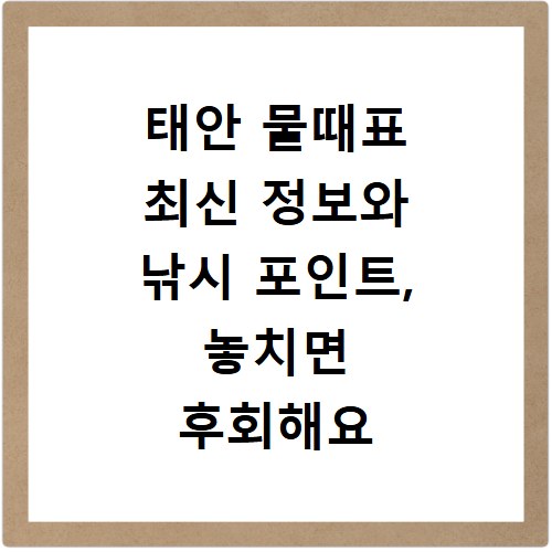 태안 물때표 최신 정보와 낚시 포인트, 놓치면 후회해요
