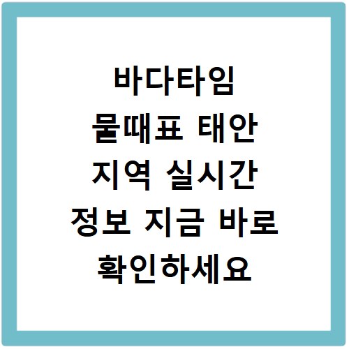 바다타임 물때표 태안 지역 실시간 정보 지금 바로 확인하세요