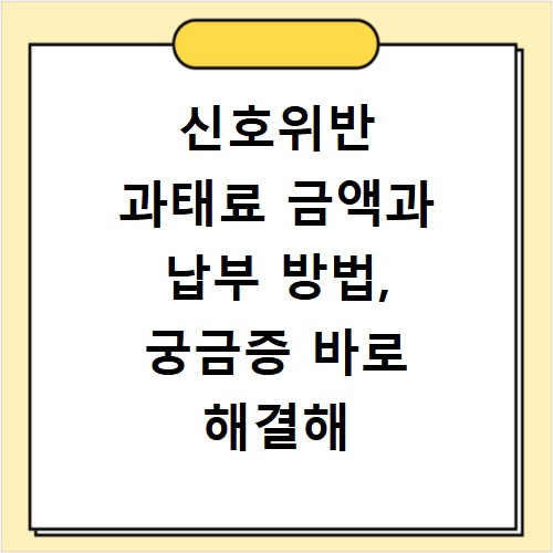 신호위반 과태료 금액과 납부 방법, 궁금증 바로 해결해 드려요