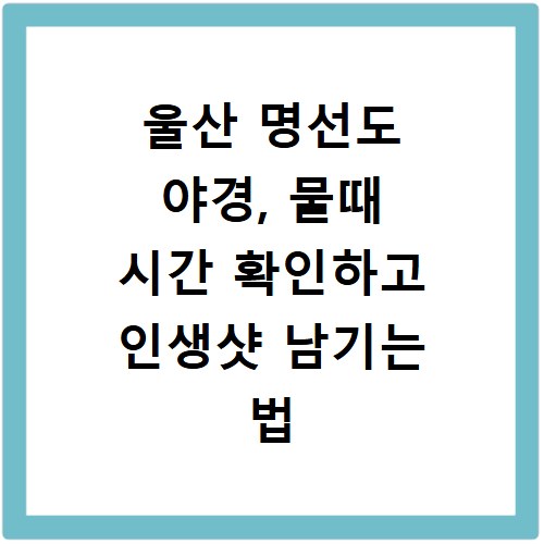 울산 명선도 야경, 물때 시간 확인하고 인생샷 남기는 법