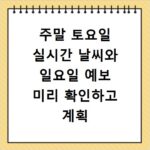 주말 토요일 실시간 날씨와 일요일 예보 미리 확인하고 계획 세우자