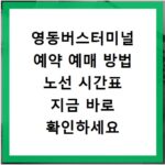 영동버스터미널 예약 예매 방법 노선 시간표 지금 바로 확인하세요