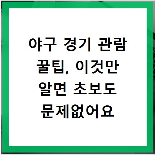 야구 경기 관람 꿀팁, 이것만 알면 초보도 문제없어요