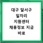 대구 달서구 일자리 지원센터 채용정보 지금 바로 확인하세요
