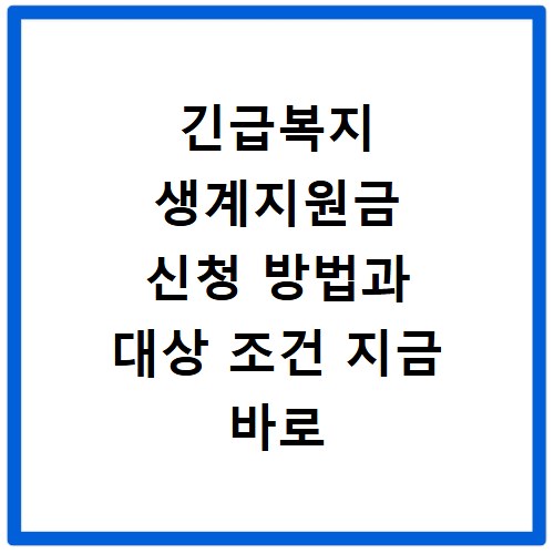 긴급복지 생계지원금 신청 방법과 대상 조건 지금 바로 확인하세요