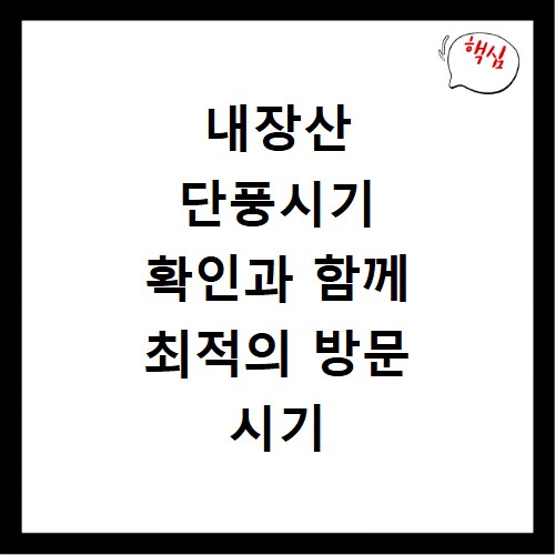 내장산 단풍시기 확인과 함께 최적의 방문 시기 알아보기