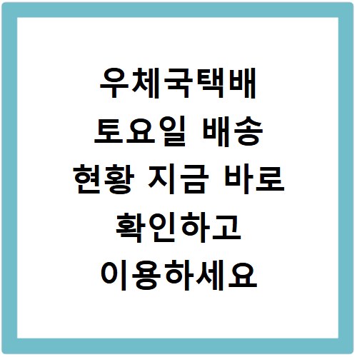 우체국택배 토요일 배송 현황 지금 바로 확인하고 이용하세요