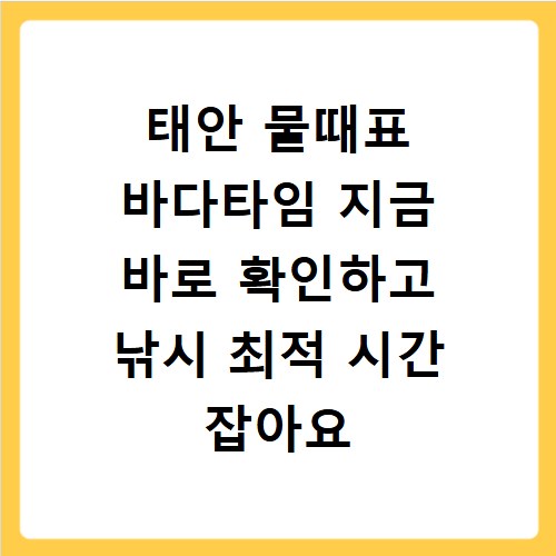 태안 물때표 바다타임 지금 바로 확인하고 낚시 최적 시간 잡아요