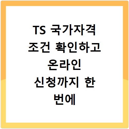 TS 국가자격 조건 확인하고 온라인 신청까지 한 번에 끝내세요