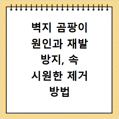 벽지 곰팡이 원인과 재발 방지, 속 시원한 제거 방법 총정리